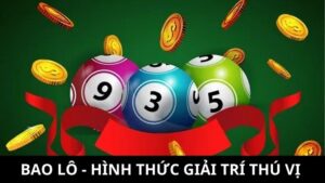 bao lô là gì
