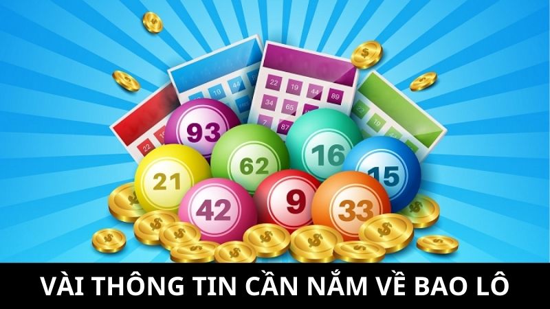 giới thiệu về bao lô