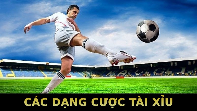 Các dạng cược tài xỉu