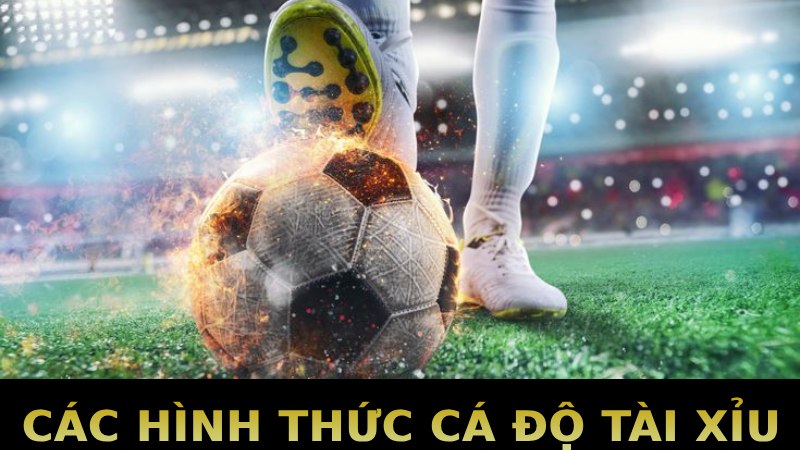 Các hình thức cá độ tài xỉu