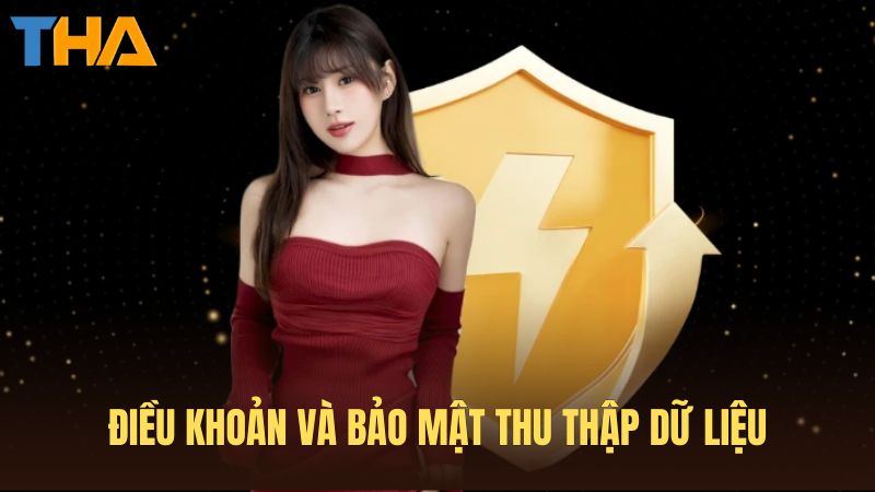 Điều khoản và bảo mật thu thập dữ liệu