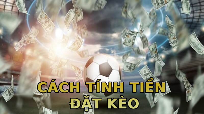 Nền tảng chia sẻ cách tính tiền đặt kèo